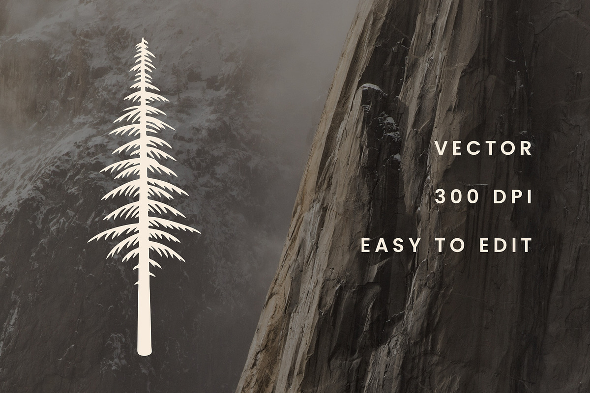 Hand-Drawn Tall Trees, an Illustration by Build Interactive (Photo 7 of 7)