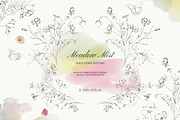 Meadow Mist: Pencil Floral Sketches, a Decorative Illustration by Yuliia Lashevska (Thumbnail 1 of 12)