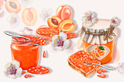 Apricot Jam & Juice, watercolor, a Food Illustration by EL_SUHOVA (Thumbnail 4 of 14)