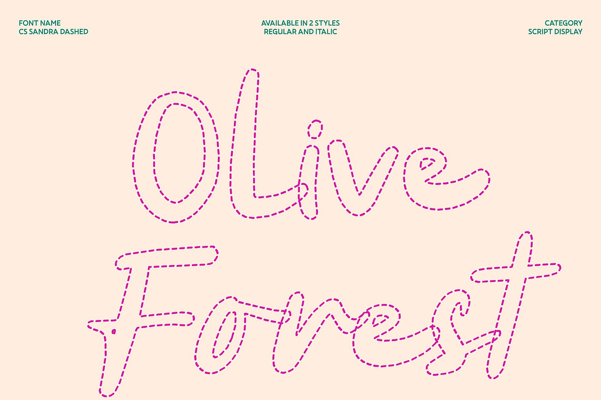 CS Sandra Dashed, a Script Font by Craft Supply Co. (Photo 3 of 8)