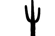 collection desert cactus silhouettes, an Illustration by Amazin_art (Thumbnail 2 of 33)