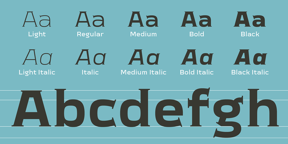 Meguro Serif, a Serif Font by GT&CANARY (Photo 11 of 12)