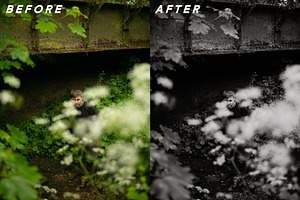 GREYSCALE Lightroom Preset