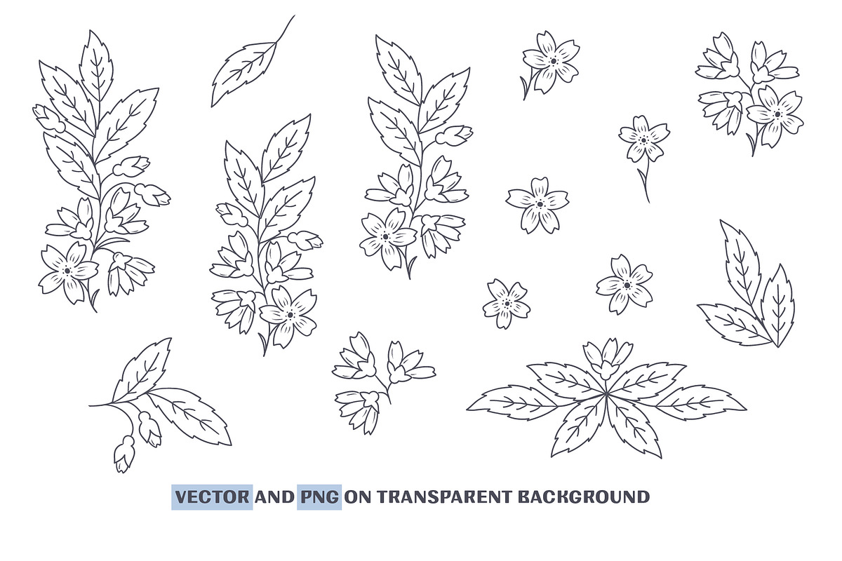 Wild Flowers Collection, a Pattern Graphic by Zim Varezhkin (Photo 8 of 8)