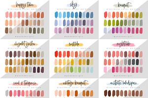 50 Procreate Color Palettes. Bundle2