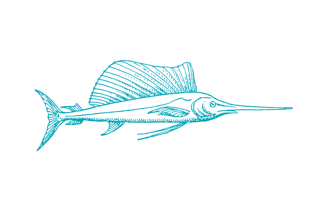 Vector Swordfish Pen Illustration, an Illustration by Theresa Barba