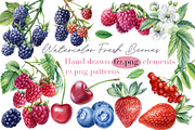 Watercolor Fresh Berries, a Decorative Illustration by Hanna Hryharenka (Thumbnail 1 of 16)