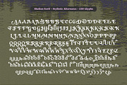Shelian, a Serif Font by Seniors (Thumbnail 5 of 15)