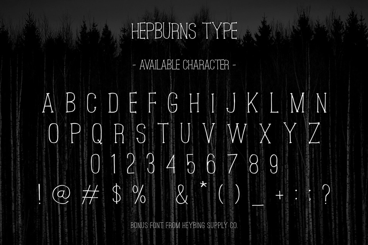 Northshire Script + Extras (Sale) preview 8