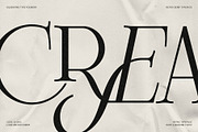 Frosty Garden - Elegant Retro Serif, a Serif Font by SilverStag Type Foundry (Thumbnail 8 of 19)