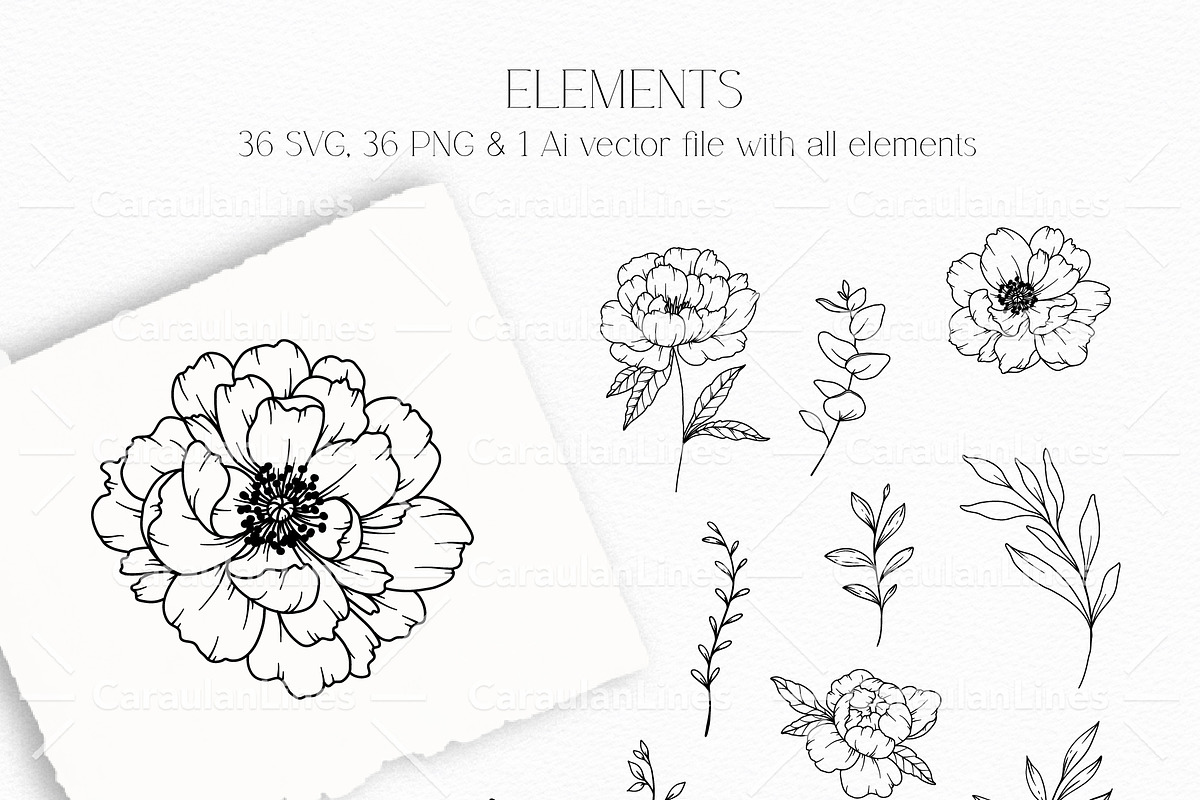 PEONY GARDEN LINE ART, an Object Graphic by CaraulanStore (Photo 5 of 8)
