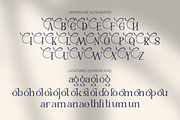 Mollava – A Modern Luxury Logo Font, a Serif Font by MJB Letters (Thumbnail 3 of 11)