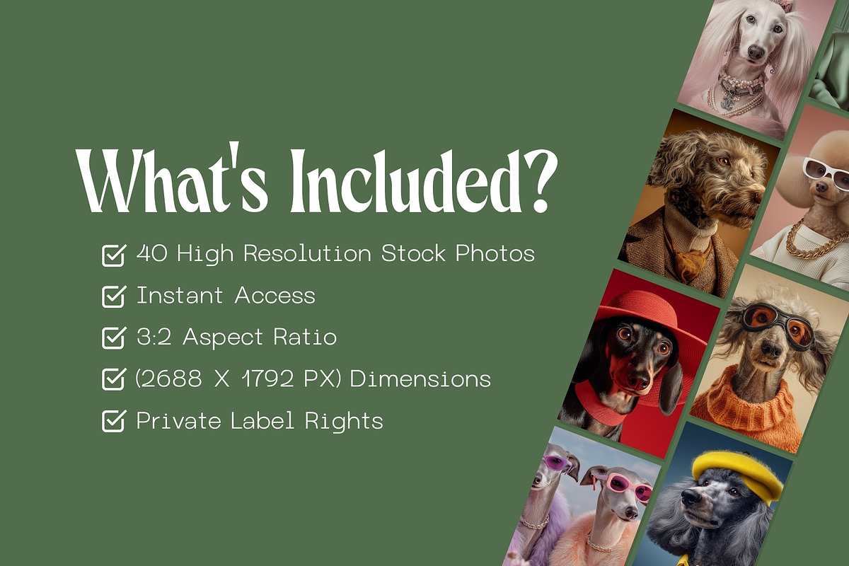 40 Editorial Dog Stock Photos, an Animal Illustration by Incomelion (Photo 7 of 13)