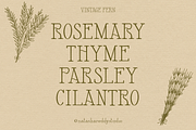VINTAGE FERN by Natasha Reddy, a Serif Font by Natasha Reddy Studio (Thumbnail 5 of 10)