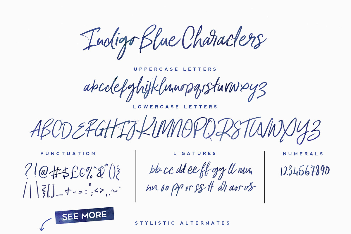 Indigo Blue Font + Swashes, a Script Font by Nicky Laatz (Photo 12 of 13)