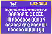 Thunder Bird Font, a Font by weknow (Thumbnail 8 of 8)