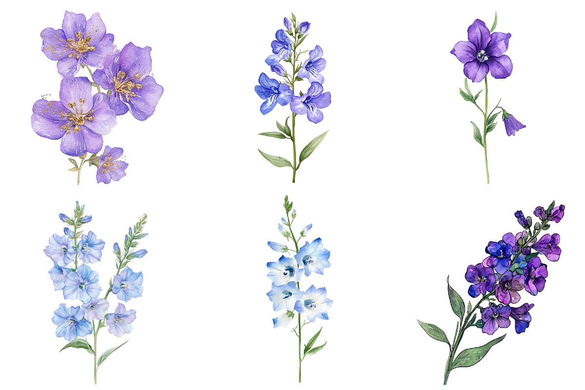 Larkspur Flower Watercolor Cliparts, an Illustration by Watercolor design (Photo 4 of 4)