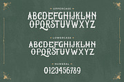 Wake Snake - Decorative Typeface, a Font by Typefactoryco (Thumbnail 2 of 10)