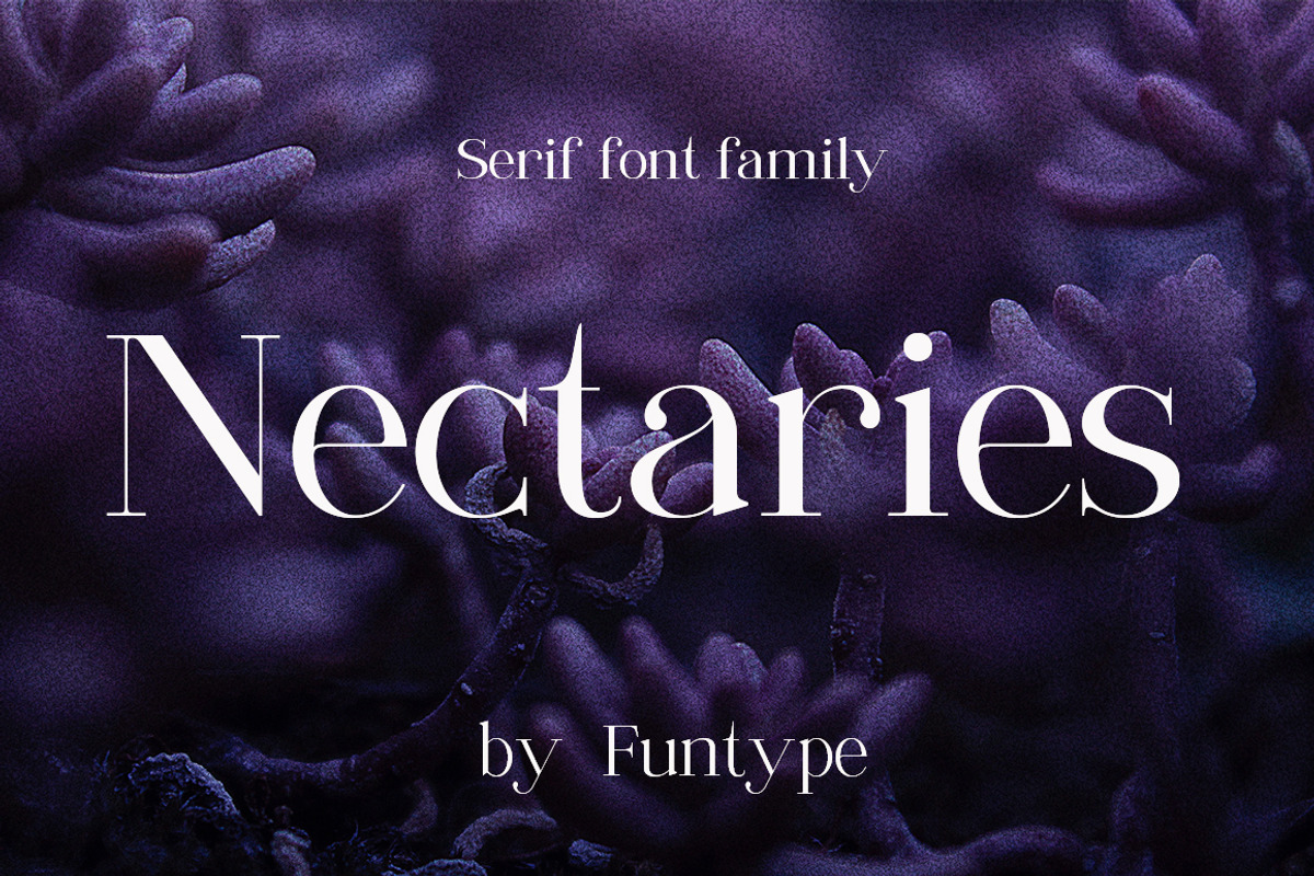 Nectaries, a Serif Font by Funtype (Photo 1 of 16)