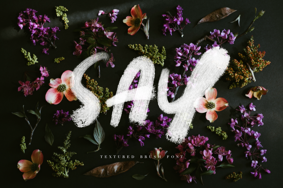 SAY | TEXTURED BRUSH FONT, a Font by Sammy's Illustration (Photo 1 of 7)