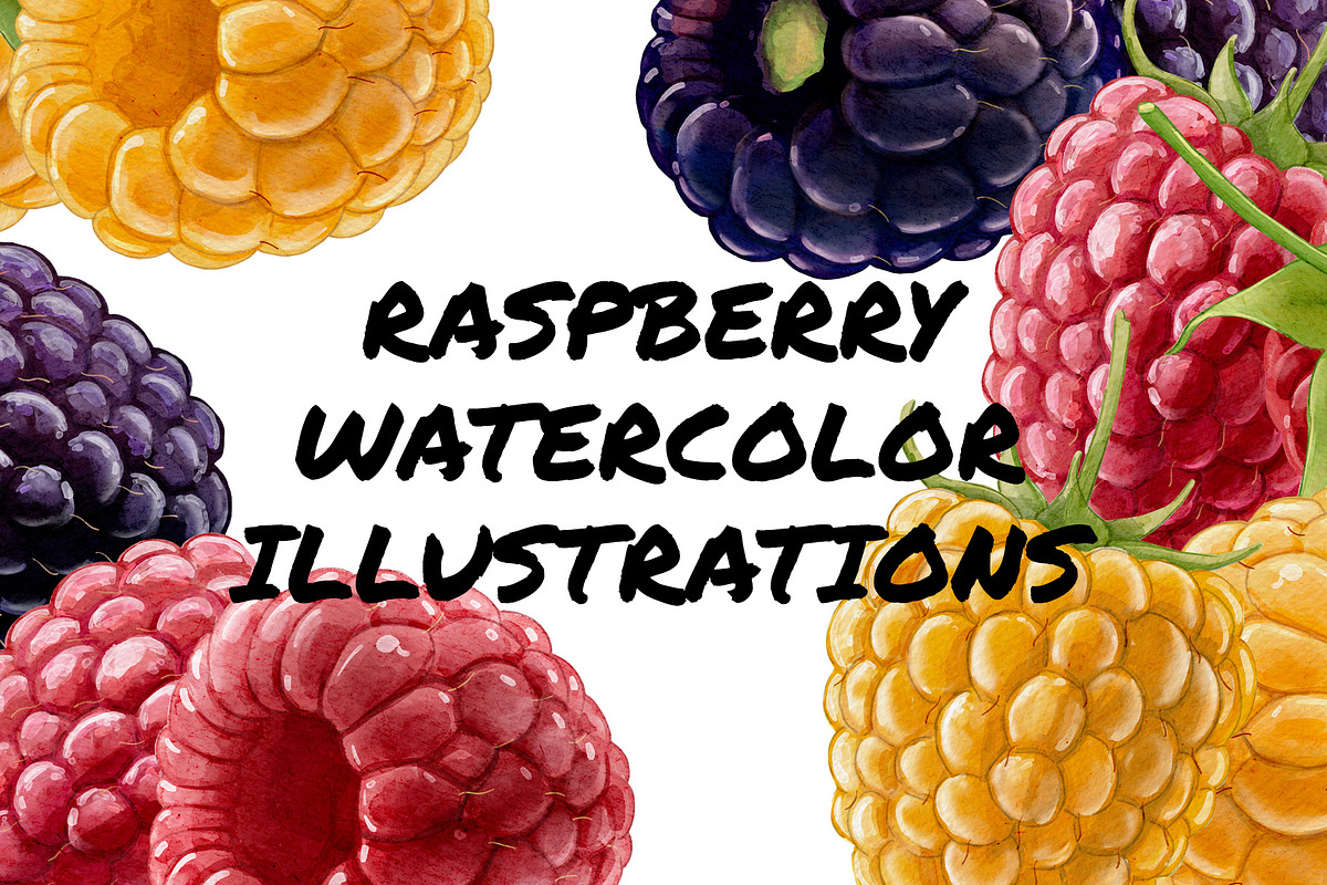 Digital Watercolor Raspberry + Bonus, a Food Illustration by wedraw (Photo 1 of 4)