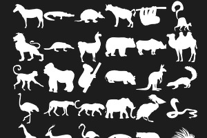 African Animals Outlines Silhouettes