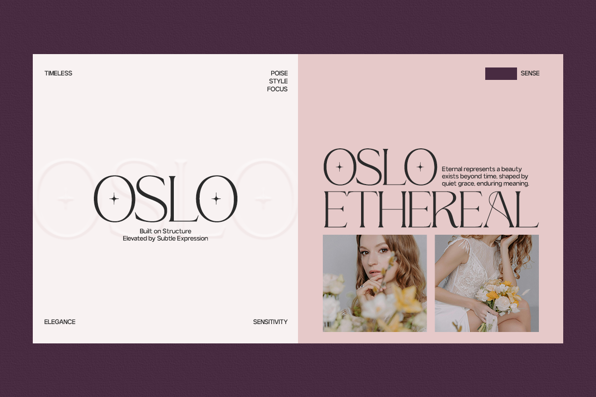 GC Adelite - Stylish Chic Serif, a Serif Font by Glyphonic (Photo 6 of 15)