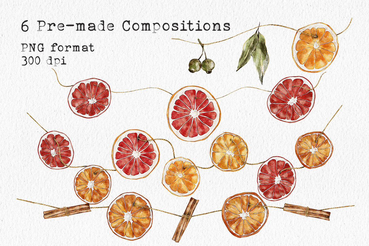Watercolor Citrus Ornaments Clipart, an Illustration by lilisprints (Photo 3 of 7)