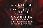Ruadson Modern Serif Font, a Serif Font by Storytype Studio (Thumbnail 14 of 15)