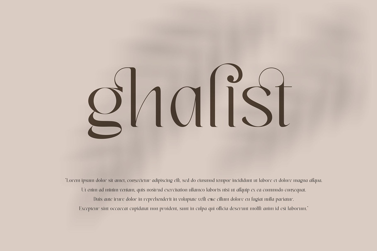 mictons, a Serif Font by Penatic Studio (Photo 7 of 10)