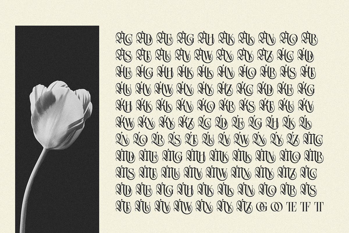 Northvale Blackletter Serif Font, a Blackletter Font by Heinzel Std (Photo 4 of 10)
