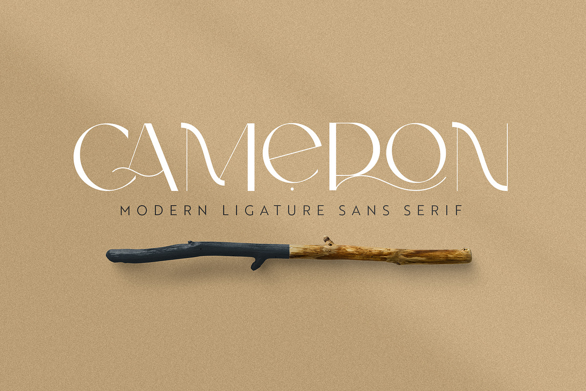 Cameron | Modern Sans Serif Font, a Sans Serif Font by Kandella's Art (Photo 1 of 17)