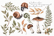Forest plants and snails watercolor, an Illustration by Alamella (Thumbnail 7 of 7)