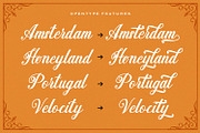 Madena Parlling - Bold Script Font, a Script Font by StringLabs (Thumbnail 10 of 14)