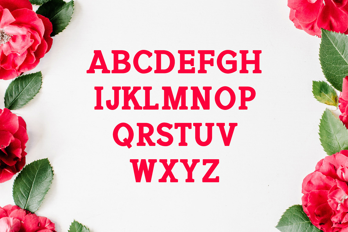 Jadrien Serif + Sans Duo 5 Font Pack preview 2