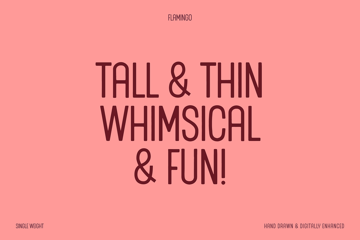 Flamingo Display Font, a Sans Serif Font by bryrude (Photo 2 of 4)