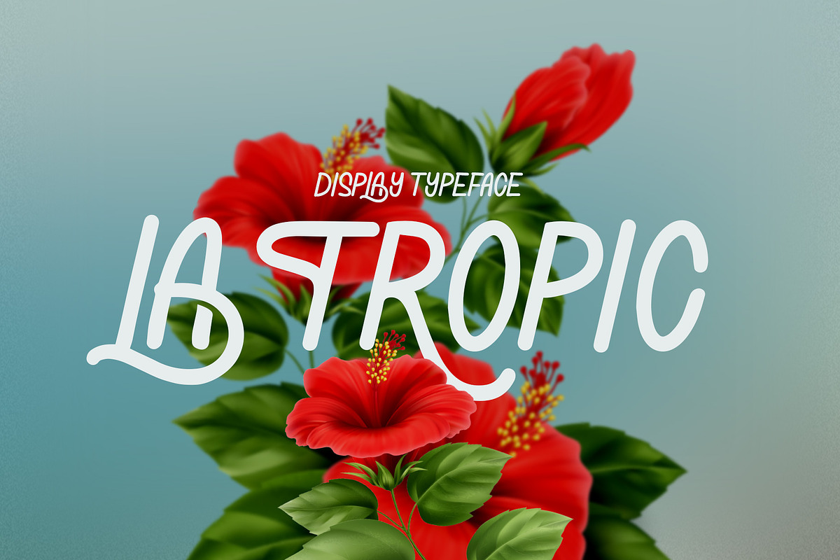 La Tropic Summer Typeface, a Handwritten Font by Casloop Studio (Photo 1 of 15)