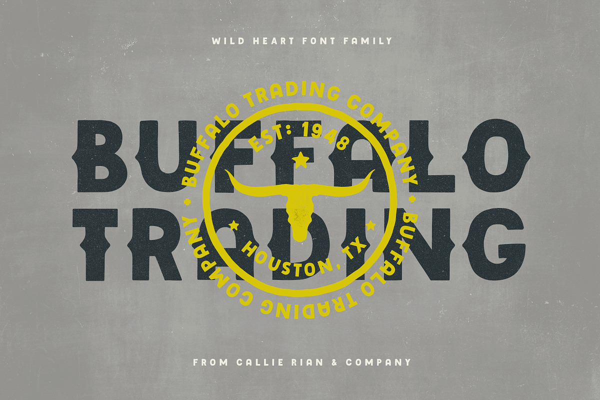 Wildheart | Font Family + Elements, a Font by Callie Rian & Co. (Photo 6 of 17)