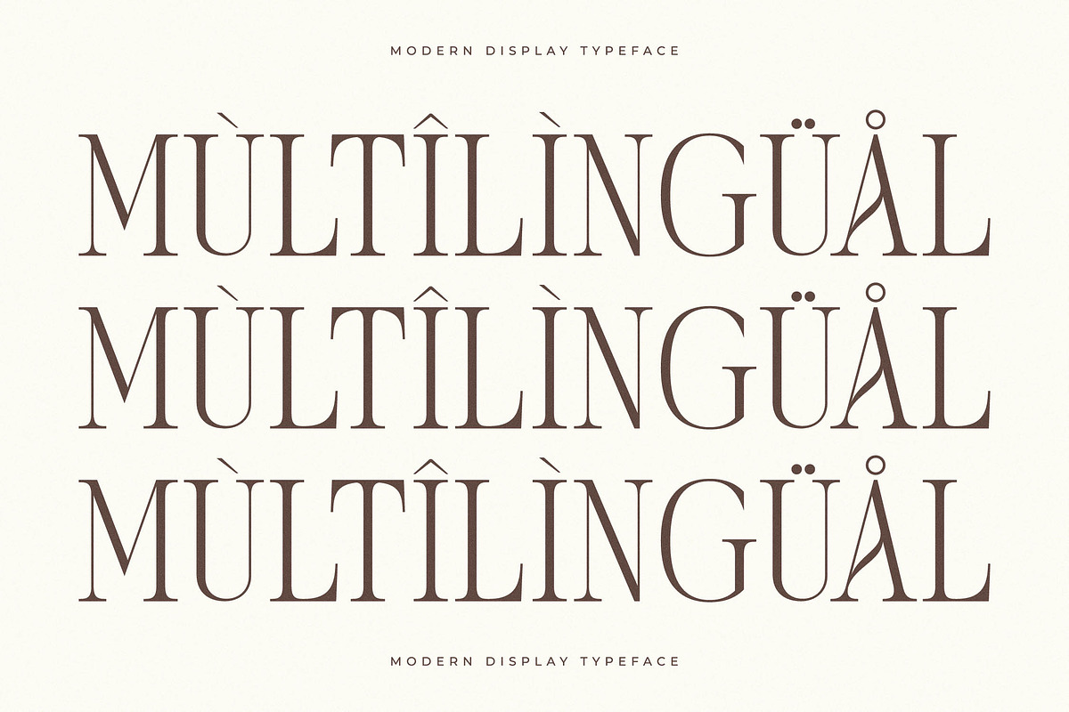 Seraneo Modern Display Typeface, a Serif Font by Letterena Studios (Photo 12 of 15)