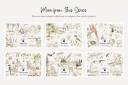85 forest animal clip art, an Animal Illustration by Poppy Lane Studio (Thumbnail 9 of 10)