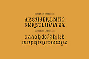 Douglas Thomson, a Serif Font by Cruzine (Thumbnail 6 of 8)