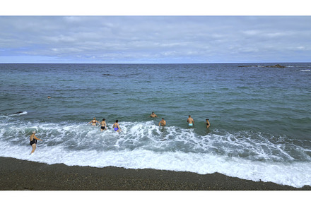 Top view of people swimming in blue, a Nature Photo by Media Whale Stock