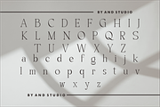 Quiffed Flicker, a Serif Font by And Studio (Thumbnail 15 of 16)
