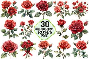 Red Lithograph Roses Clipart, an Illustration by Pixels.Craft