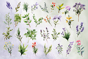 Watercolor Herbs Clipart, a Decorative Illustration by MuzaArtStudio (Thumbnail 2 of 7)