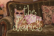 Nora Jean | Swirly Whimsy Font, a Handwritten Font by KA Designs (Thumbnail 14 of 17)