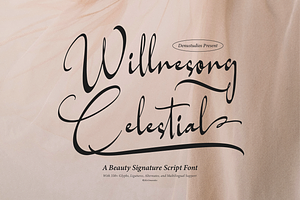 Willnesong Celestial Signature Font, a Script Font by Denustudios