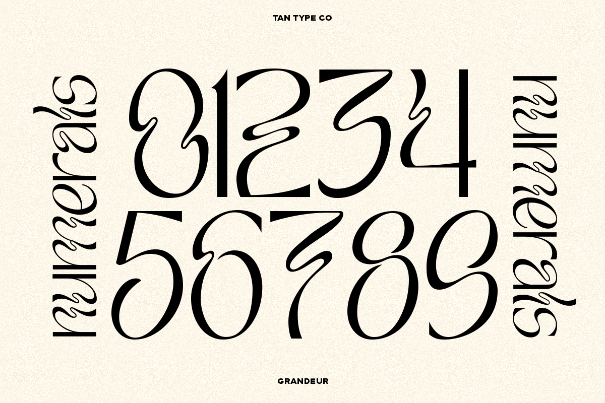 TAN - GRANDEUR, a Sans Serif Font by TanType (Photo 20 of 25)