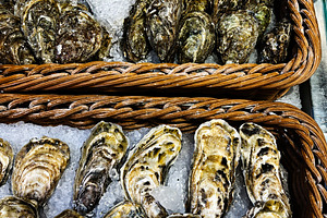 Fresh oysters displayed on ice in a market setting for sale, a Photo by AS photostudio