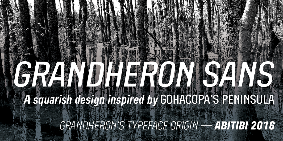 Grandheron Sans, a Sans Serif Font by André Simard (Photo 2 of 13)